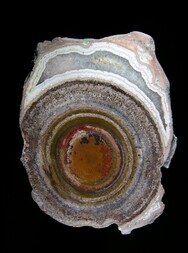 Deutschland/Rheinland-Pfalz/Südliche Weinstraße, Landkreis/Waldhambach/Steinbruch Kuhn