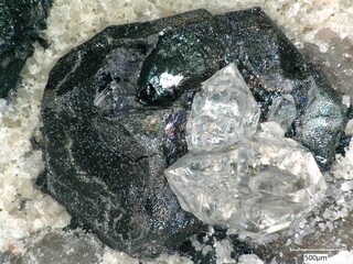 Deutschland/Sachsen-Anhalt/Mansfeld-Südharz, Landkreis/Gerbstedt, Stadtgemeinde/Welfesholz