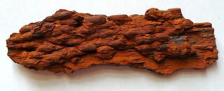 Österreich/Niederösterreich/Sankt Pölten, Bezirk/Karlstetten/Sandgruben Bachner