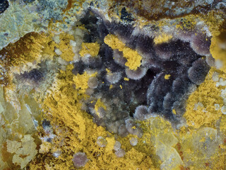 Deutschland/Baden-Württemberg/Freiburg, Bezirk/Rottweil, Landkreis/Schenkenzell, Gemeinde/Kaltbrunn, Ortsteil/Wittichen/Schmiedestollenhalde