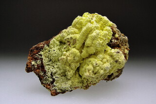 Deutschland/Sachsen/Erzgebirgskreis/Schneeberg, Lagerstätte/Neustädtel/Weißer Hirsch (Schacht 3)/Walpurgis Flacher Gang