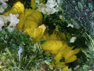 Demokratische Republik Kongo/Katanga (Shaba), Provinz/Lualaba, Distrikt/Kolwezi, Revier/Mashamba West Mine