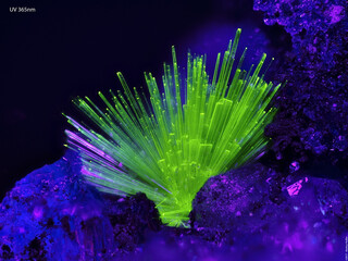 Deutschland/Baden-Württemberg/Freiburg, Bezirk/Ortenaukreis/Oberwolfach/Grube Clara