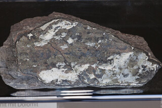 Deutschland/Sachsen/Erzgebirgskreis/Aue-Bad Schlema, Große Kreisstadt/Lagerstätte Schlema-Alberoda/Schacht 371