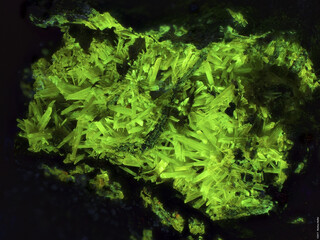 Demokratische Republik Kongo/Katanga (Shaba), Provinz/Lualaba, Distrikt/Kolwezi, Revier/Kolwezi, Stadt/Musonoi