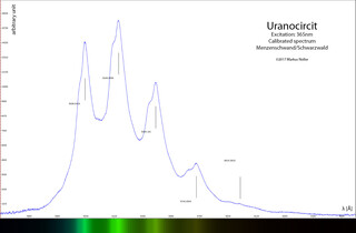 Deutschland/Baden-Württemberg/Freiburg, Bezirk/Waldshut, Landkreis/St. Blasien, Stadtgemeinde/Menzenschwand, Ortsteil/Krunkelbach