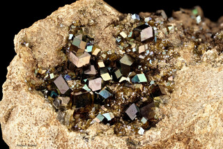 Norwegen/Buskerud, Provinz/Drammen/Drammensmarka/5-minuttern