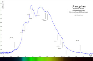 Deutschland/Baden-Württemberg/Freiburg, Bezirk/Waldshut, Landkreis/St. Blasien, Stadtgemeinde/Menzenschwand, Ortsteil/Krunkelbach