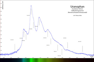 Deutschland/Baden-Württemberg/Freiburg, Bezirk/Waldshut, Landkreis/St. Blasien, Stadtgemeinde/Menzenschwand, Ortsteil/Krunkelbach