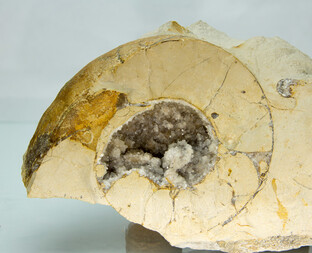 Deutschland/Bayern/Mittelfranken, Bezirk/Weißenburg-Gunzenhausen, Landkreis/Weißenburg in Bayern, Große Kreisstadt