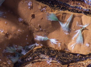 Deutschland/Baden-Württemberg/Freiburg, Bezirk/Ortenaukreis/Oberwolfach/Grube Clara