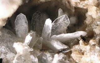 Deutschland/Rheinland-Pfalz/Mayen-Koblenz-Kreis/Vordereifel, Verbandsgemeinde/Ettringen/Bellerberg/Ettringer Bellerberg (Stbr. Caspar)