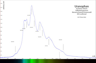 Deutschland/Baden-Württemberg/Freiburg, Bezirk/Waldshut, Landkreis/St. Blasien, Stadtgemeinde/Menzenschwand, Ortsteil/Krunkelbach
