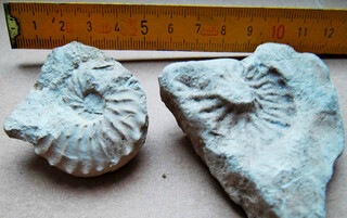 Deutschland/Nordrhein-Westfalen