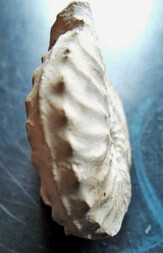 Deutschland/Nordrhein-Westfalen