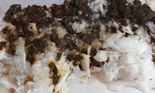 Deutschland/Baden-Württemberg/Freiburg, Bezirk/Ortenaukreis/Ohlsbach/Hinterohlsbach/Hennenloch