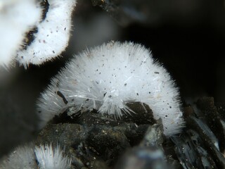 Deutschland/Nordrhein-Westfalen/Arnsberg, Bezirk/Hochsauerlandkreis/Bestwig/Ramsbeck/Grube Alexander