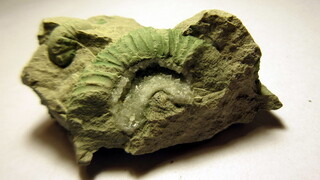 Deutschland/Bayern/Oberfranken, Bezirk/Forchheim, Landkreis/Gräfenberg, Stadt/Steinbruch Endress