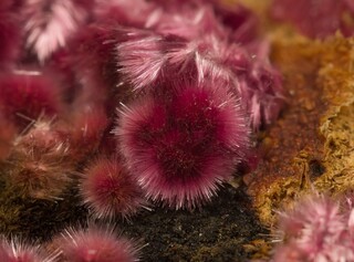 Marokko/Drâa-Tafilalet, Region/Bou Azzer, Bergbaurevier