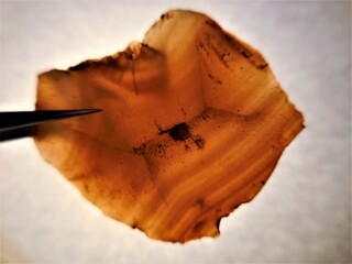 Deutschland/Rheinland-Pfalz/Birkenfeld, Landkreis/Idar-Oberstein/Idar/Wäschertskaulen/nördliches Grenzlager