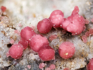 Griechenland/Attika (Attikí, Attica)/East Attica/Lavreotiki/Lavrion (Laurion), Bergbaudistrikt/Plaka/Plaka Minen/Plaka Mine No. 145