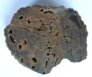 Deutschland/Bayern/Mittelfranken, Bezirk/Neustadt an der Aisch-Bad Windsheim, Landkreis/Bad Windsheim, Stadt/Rüdisbronn, Ortsteil