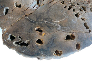 Deutschland/Bayern/Mittelfranken, Bezirk/Neustadt an der Aisch-Bad Windsheim, Landkreis/Bad Windsheim, Stadt/Rüdisbronn, Ortsteil