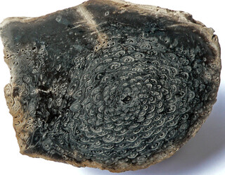 Österreich/Oberösterreich/Vöcklabruck, Bezirk