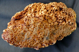 Österreich/Oberösterreich/Rohrbach, Bezirk