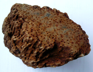 Österreich/Oberösterreich/Rohrbach, Bezirk