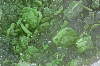 USA/Utah/Juab County/Tintic District/Eureka/Centennial Eureka Mine