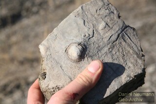 Deutschland/Thüringen/Gera/Leumnitz/Steinbruch Kalkwerk Leumnitz