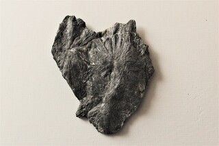 Italien/Trentino-Südtirol (Trentino-Alto Adige)/Südtirol (Bozen), Provinz/Wipptal, Bezirk/Pfitsch (Pfitschtal)/Kematen/Wolfendorn Ostflanke (Spina del Lupo Est)