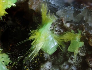 Deutschland/Baden-Württemberg/Freiburg, Bezirk/Waldshut, Landkreis/St. Blasien, Stadtgemeinde/Menzenschwand, Ortsteil/Krunkelbach