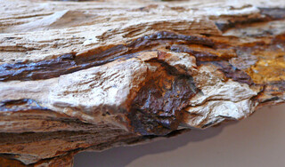 Österreich/Niederösterreich/Hollabrunn, Bezirk