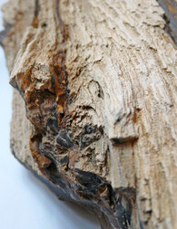 Österreich/Niederösterreich/Hollabrunn, Bezirk