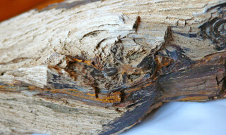 Österreich/Niederösterreich/Hollabrunn, Bezirk