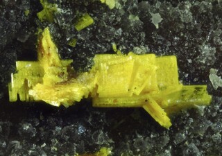 Deutschland/Baden-Württemberg/Freiburg, Bezirk/Waldshut, Landkreis/St. Blasien, Stadtgemeinde/Menzenschwand, Ortsteil/Krunkelbach