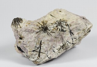 Russland/Nordwestrussland, Föderationskreis/Murmansk, Oblast/Kola-Halbinsel/Lovozero/Karnasurt, Berg/Pegmatit Nr. 60