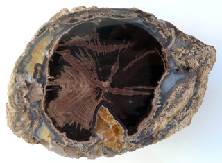 USA/Wyoming/Sweetwater County/Blue Forest