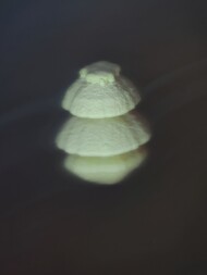 Deutschland/Rheinland-Pfalz/Bad Kreuznach, Landkreis/Hackenheim, Kiesgrube