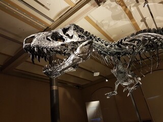 USA/Montana/Dawson County/Badlands/Hell Creek Formation outcrops