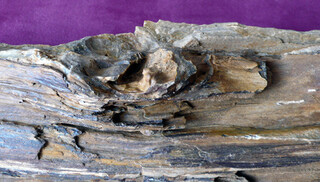 Österreich/Niederösterreich/Hollabrunn, Bezirk