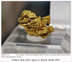 Brasilien/Mittelwesten (Região Centro-Oeste)/Mato Grosso, Bundesstaat/Pontes e Lacerda/Serra do Caldeirão Claims