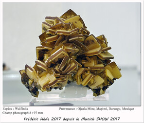 Mexiko/Durango, Estado/Mapimí, Municipio/Mapimí/Ojuela Mine