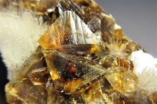 Uganda/Manafwa, Distrikt/Mount-Elgon-Nationalpark/Sipi Cave