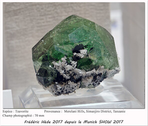 Tansania/Manyara, Region/Simanjiro, Distrikt/Merelani (Mererani)