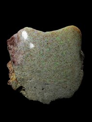 Australien/South Australia/Andamooka Ranges - Lake Torrens/Andamooka Opalfelder