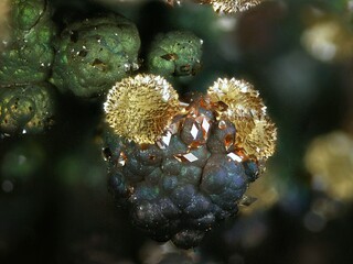 Deutschland/Rheinland-Pfalz/Westerwaldkreis/Wirges/Dernbach/Grube Schöne Aussicht