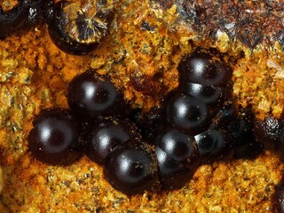 Deutschland/Hessen/Gießen, Bezirk/Lahn-Dill-Kreis/Lahnau/Waldgirmes/Grube Rotläufchen